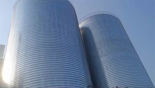 白沙2座混凝土高架卷板仓